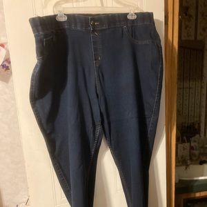 Lane Bryant Stretch Pull On Jeans